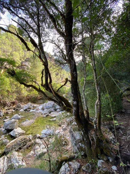 Utsikt Över Källan Till Floden Borosa Naturparken Sierras Cazorla Segura — Stockfoto