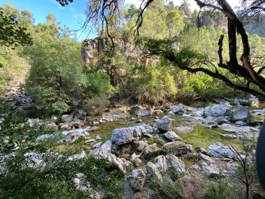 Borosa Nehri 'nin Sierras de Cazorla, Segura ve las Villas, Endülüs, İspanya' daki Doğal Parkı 'ndaki kaynağı. Güneşli bir günde yol