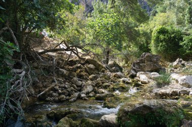Borosa Nehri 'nin Sierras de Cazorla, Segura ve las Villas, Endülüs, İspanya' daki Doğal Parkı 'ndaki kaynağı. Güneşli bir günde yol