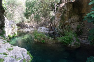 Borosa Nehri 'nin Sierras de Cazorla, Segura ve las Villas, Endülüs, İspanya' daki Doğal Parkı 'ndaki kaynağı. Güneşli bir günde yol
