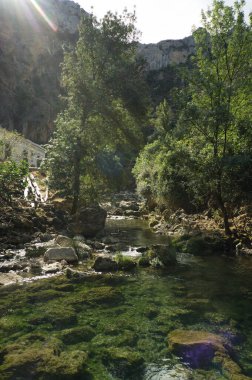 Borosa Nehri 'nin Sierras de Cazorla, Segura ve las Villas, Endülüs, İspanya' daki Doğal Parkı 'ndaki kaynağı. Güneşli bir günde yol
