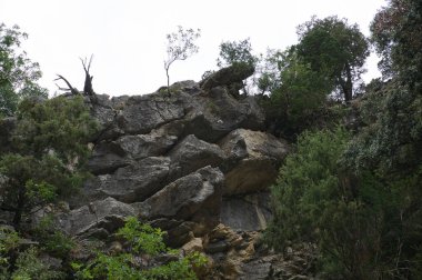 Borosa Nehri 'nin Sierras de Cazorla, Segura ve las Villas, Endülüs, İspanya' daki Doğal Parkı 'ndaki kaynağı. Güneşli bir günde yol