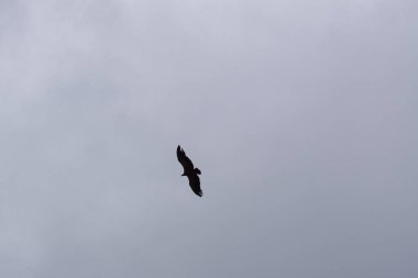 Borosa Nehri 'nin Sierras de Cazorla, Segura ve las Villas, Endülüs, İspanya' daki Doğal Parkı 'ndaki kaynağı. Güneşli bir günde yol