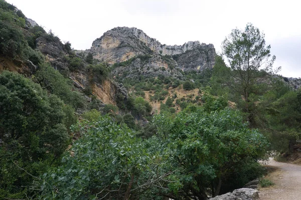 Vista Fuente Del Río Borosa Parque Natural Las Sierras Cazorla — Foto de Stock