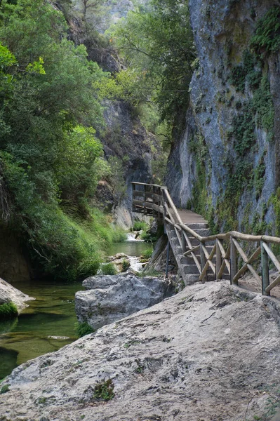 Vista Fuente Del Río Borosa Parque Natural Las Sierras Cazorla —  Fotos de Stock