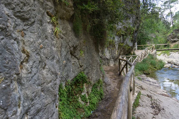 Uitzicht Bron Van Rivier Borosa Het Natuurpark Van Sierras Cazorla — Stockfoto