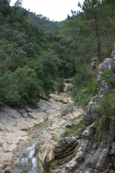 Borosa Nehri Nin Sierras Cazorla Segura Las Villas Endülüs Spanya — Stok fotoğraf