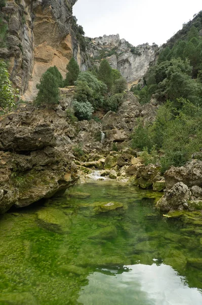 Vue Sur Source Rivière Borosa Dans Parc Naturel Des Sierras — Photo