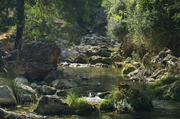 Vista Fuente Del Río Borosa Parque Natural Las Sierras Cazorla —  Fotos de Stock