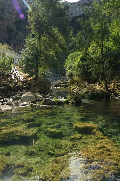 Vista Fuente Del Río Borosa Parque Natural Las Sierras Cazorla —  Fotos de Stock