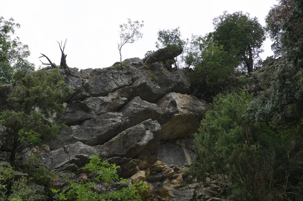 Vue Sur Source Rivière Borosa Dans Parc Naturel Des Sierras — Photo