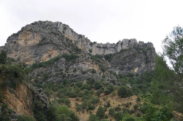 Вид Исток Реки Борхес Природном Парке Sierras Cazorla Segura Las — стоковое фото