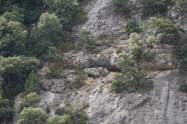Vue Sur Source Rivière Borosa Dans Parc Naturel Des Sierras — Photo