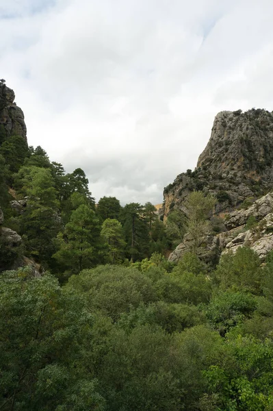 Vista Fuente Del Río Borosa Parque Natural Las Sierras Cazorla — Foto de Stock