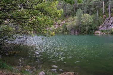 Borosa Nehri 'nin Sierras de Cazorla, Segura ve las Villas, Endülüs, İspanya' daki Doğal Parkı 'ndaki kaynağı. Güneşli bir günde yol