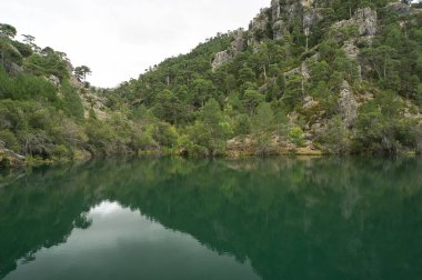 Borosa Nehri 'nin Sierras de Cazorla, Segura ve las Villas, Endülüs, İspanya' daki Doğal Parkı 'ndaki kaynağı. Güneşli bir günde yol