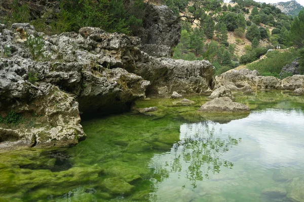 Vue Sur Source Rivière Borosa Dans Parc Naturel Des Sierras — Photo