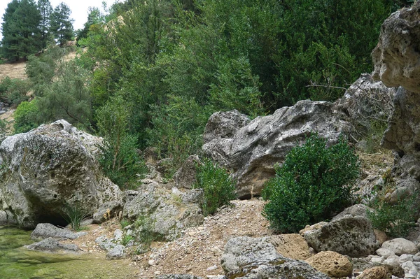 Uitzicht Bron Van Rivier Borosa Het Natuurpark Van Sierras Cazorla — Stockfoto