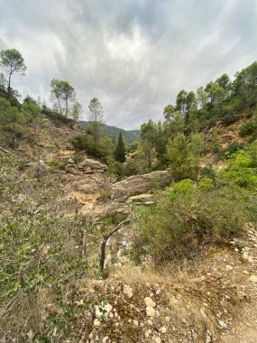 Borosa Nehri 'nin Sierras de Cazorla, Segura ve las Villas, Endülüs, İspanya' daki Doğal Parkı 'ndaki kaynağı. Güneşli bir günde yol