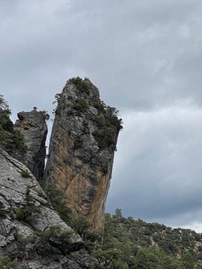 Borosa Nehri 'nin Sierras de Cazorla, Segura ve las Villas, Endülüs, İspanya' daki Doğal Parkı 'ndaki kaynağı. Güneşli bir günde yol
