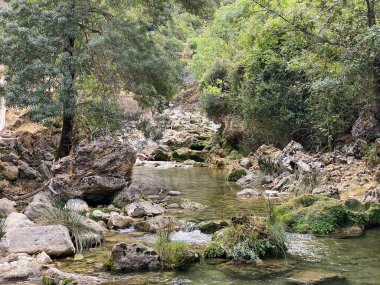 Borosa Nehri 'nin Sierras de Cazorla, Segura ve las Villas, Endülüs, İspanya' daki Doğal Parkı 'ndaki kaynağı. Güneşli bir günde yol
