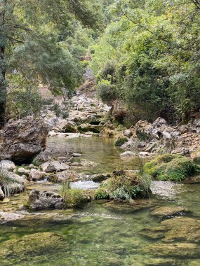 Borosa Nehri 'nin Sierras de Cazorla, Segura ve las Villas, Endülüs, İspanya' daki Doğal Parkı 'ndaki kaynağı. Güneşli bir günde yol