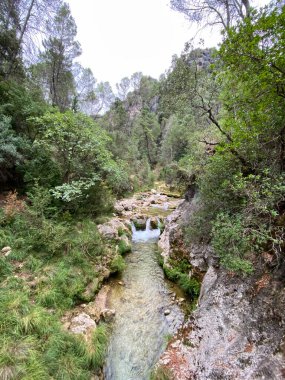 Borosa Nehri 'nin Sierras de Cazorla, Segura ve las Villas, Endülüs, İspanya' daki Doğal Parkı 'ndaki kaynağı. Güneşli bir günde yol