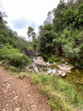 Borosa Nehri 'nin Sierras de Cazorla, Segura ve las Villas, Endülüs, İspanya' daki Doğal Parkı 'ndaki kaynağı. Güneşli bir günde yol