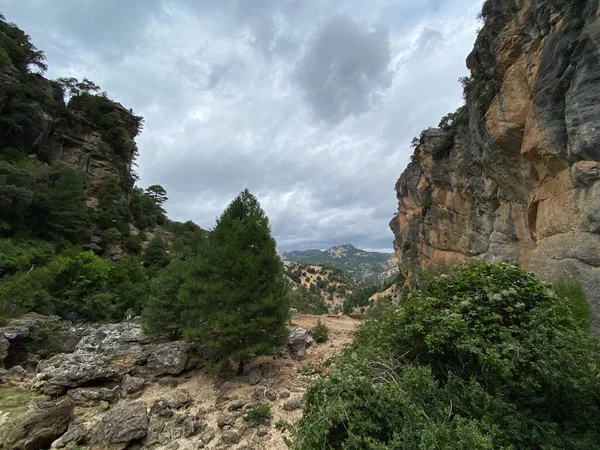 Vista Fuente Del Río Borosa Parque Natural Las Sierras Cazorla — Foto de Stock
