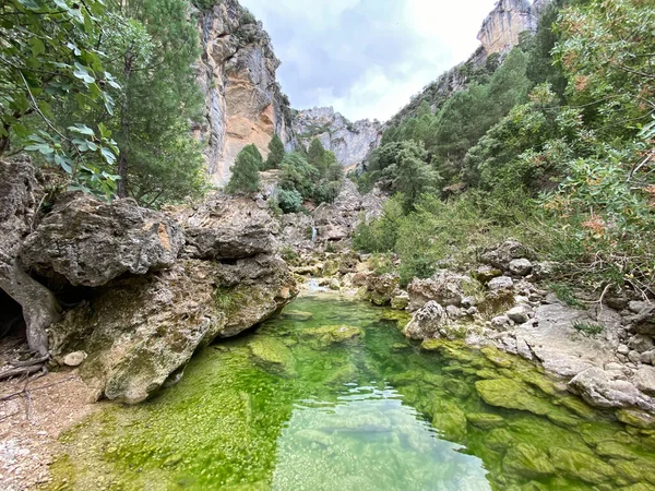 Vista Nascente Rio Borosa Parque Natural Das Sierras Cazorla Segura — Fotografia de Stock