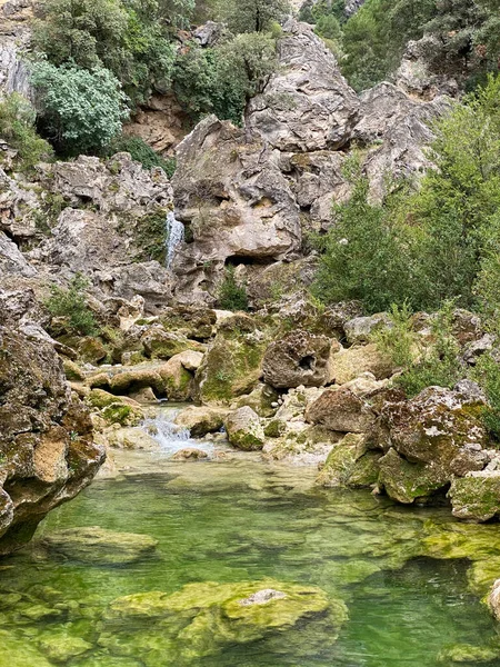 Vue Sur Source Rivière Borosa Dans Parc Naturel Des Sierras — Photo