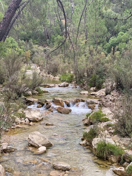 Vista Fuente Del Río Borosa Parque Natural Las Sierras Cazorla —  Fotos de Stock