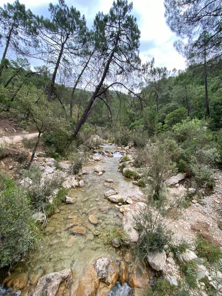 西班牙安达卢西亚的Sierras Cazorla Segura和Las Villas自然公园中的Borosa河源头视图 阳光灿烂的日子里走的路 — 图库照片