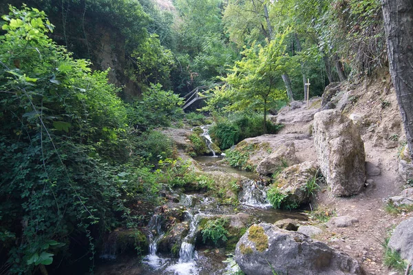 Výhled Řeku Cerezuelo Jak Protéká Cazorla Jaen Španělsko Řeka Stromy — Stock fotografie