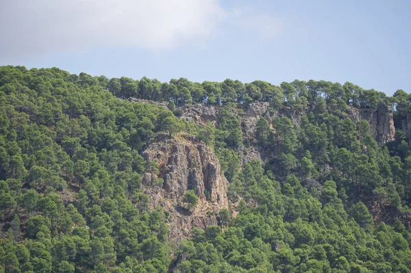 俯瞰位于西班牙Jaen的Sierras Cazorla Segura Las Villas自然公园的Tranco水库 在多云的天气里观看 — 图库照片