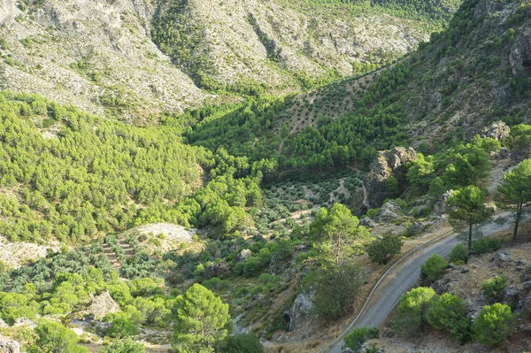 シエラ カゾラの自然公園に位置するセグラ シエラの風景の景色 セグラ ヴィラズ スペイン 曇りの日に — ストック写真