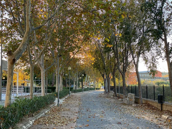 Vaciado Carril Bici Tranquilo Chella Paseo Otoño Por Los Árboles — Foto de Stock