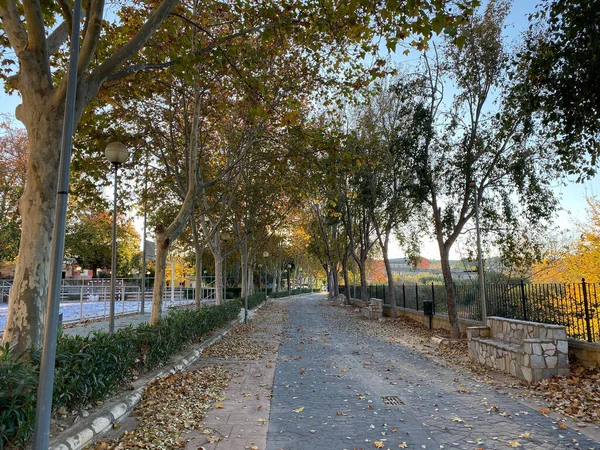 Vaciado Carril Bici Tranquilo Chella Paseo Otoño Por Los Árboles — Foto de Stock