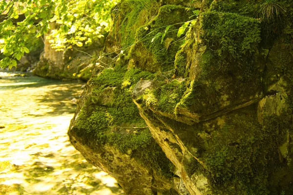 Arazas River Ordesa Natural Park Located Huesca Spain Trees — Foto Stock