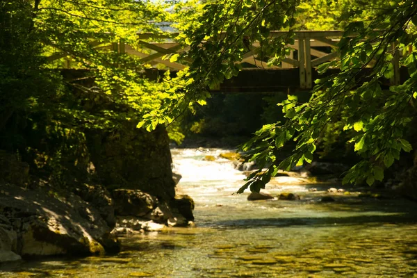 Arazas River Ordesa Natural Park Located Huesca Spain Trees — Stok fotoğraf