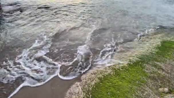Water Dat Zee Stroomt — Stockvideo
