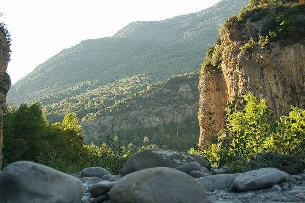 Břehu Řeky Ara Která Nachází Huesca Španělsko Zelená Řeka — Stock fotografie