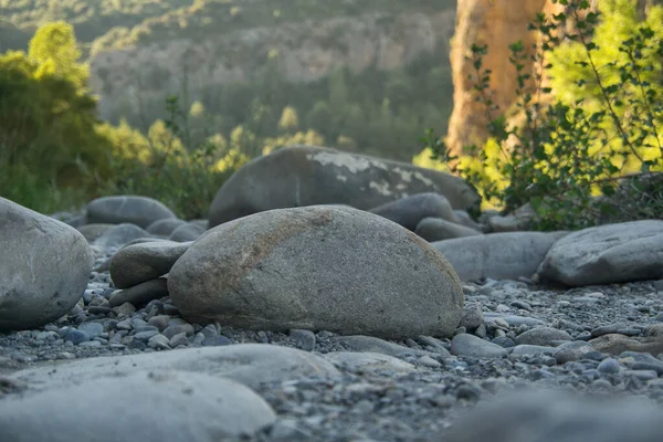 スペインのフエスカにある川のほとりにあります 緑の川 — ストック写真