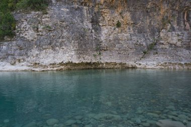 Ara nehrinin kıyısında, Huesca, İspanya 'da. Yeşil nehir