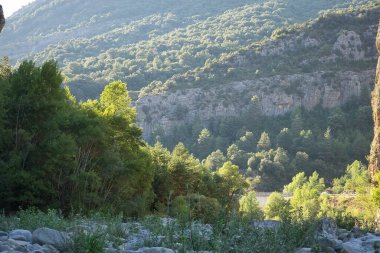 Ara nehrinin kıyısında, Huesca, İspanya 'da. Yeşil nehir