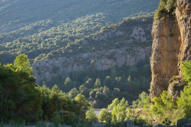 Ara nehrinin kıyısında, Huesca, İspanya 'da. Yeşil nehir