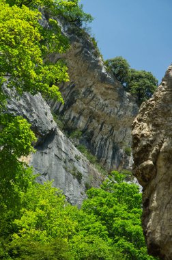 Bir kanyon görmek Aragonlu Pireneler, Huesca, İspanya. Güneşli bir günde