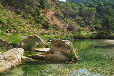 İspanya 'nın Huesca kentindeki Aragonese Pireneleri' nde yer alan Fuente de Tamara 'daki Alcanadre nehri boyunca güzel doğal havuzlar. Yeşil nehir