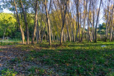 Barranc de l 'Encantada, İspanya' nın Alicia eyaletinde yer alan doğal park. Görünüm
