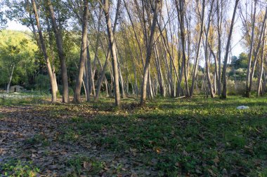 Barranc de l 'Encantada, İspanya' nın Alicia eyaletinde yer alan doğal park. Görünüm